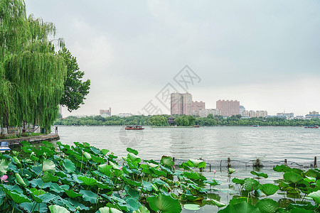 济南大明湖风景区高清图片