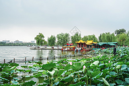 济南大明湖风景区旅行高清图片素材
