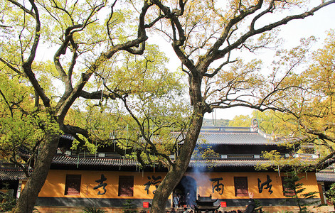 浙江舟山普陀山法雨寺背景图片