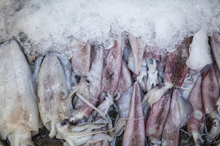 海鲜乌贼食材高清图片素材