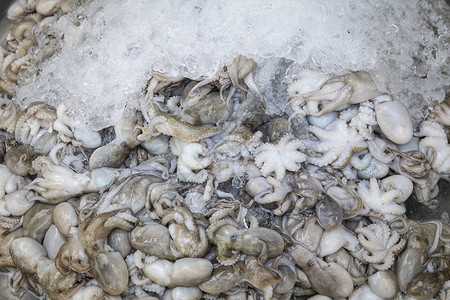 国外海鲜市场里的墨鱼食物高清图片素材