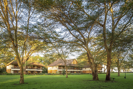 肯尼亚国家公园酒店风光背景图片