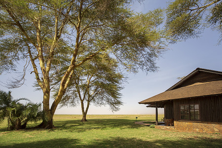 肯尼亚国家公园酒店风光背景图片