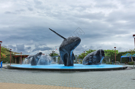 台湾垦丁水族馆背景