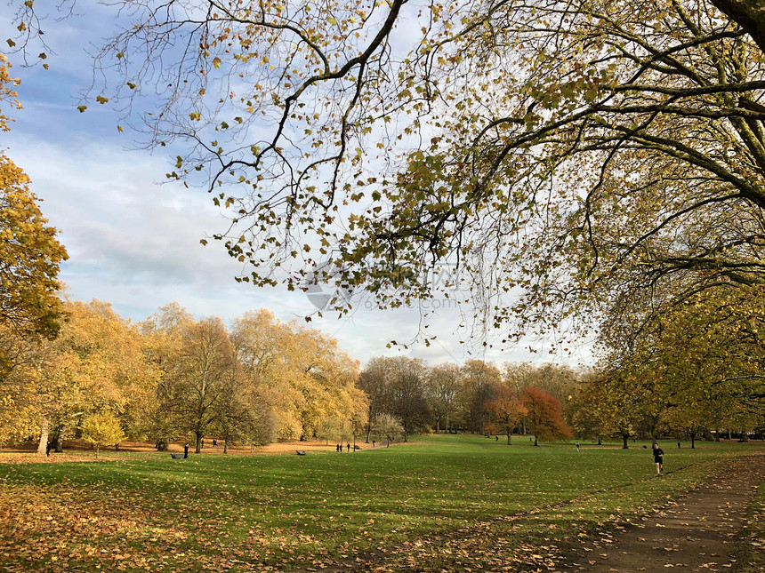 伦敦的秋天图片