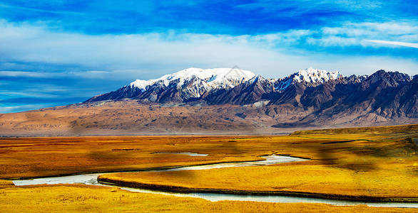 新疆是个好地方雪山草地好风光背景