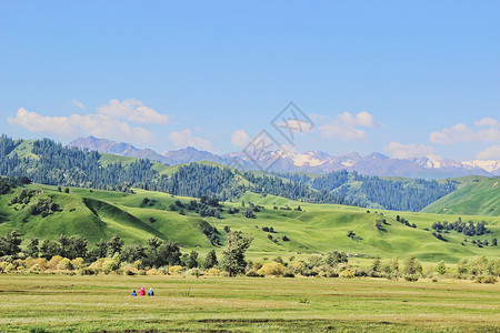 新疆那拉提草原高清图片