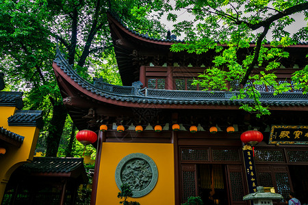 参天大树下的杭州灵隐寺城市高清图片素材