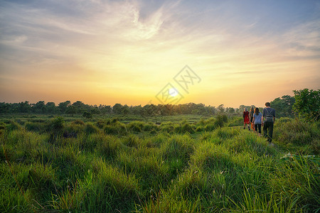 尼泊尔奇特旺国家公园夕阳风光背景