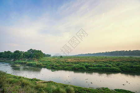 尼泊尔奇特旺国家公园河流风光背景