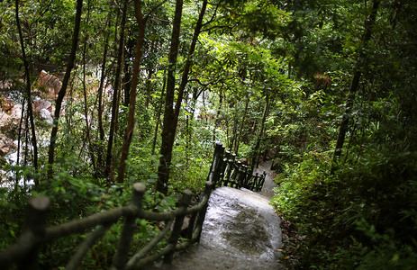 武夷山九龙瀑布风景区背景图片
