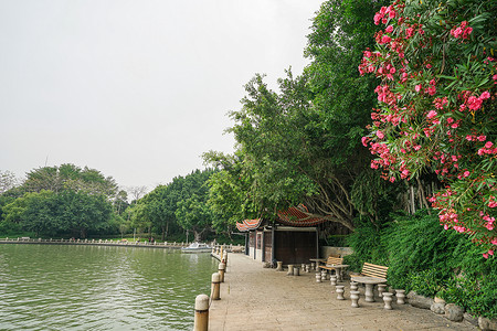 泉州地标西湖公园图片