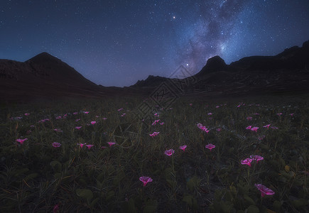 星空花朵光效琼库石台的星空背景