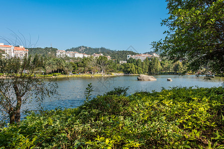 厦门大学芙蓉湖旅游景点高清图片素材