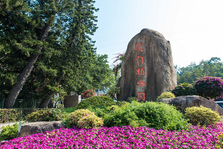 厦门园林植物园厦门植物园背景