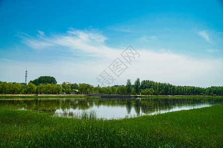 北京野鸭湖国家公园景色草地高清图片素材