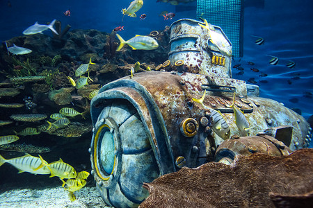海底世界摄影高清图片素材
