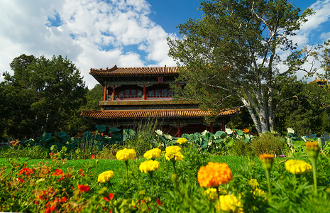 北京夏末初秋的景山公园图片