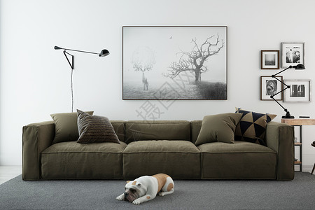 宠物家居室内沙发组合设计图片