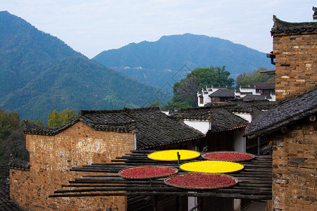 老司城婺源篁岭风景区晒秋背景