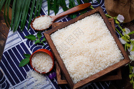 东北珍珠米背景图片
