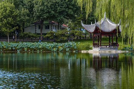 秋祭月北京陶然亭.浸月亭背景