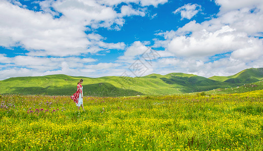 红色女漫步在花丛的美女背景