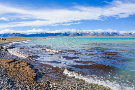西藏羊湖风光背景图片