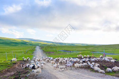 青藏公路沿途风光背景