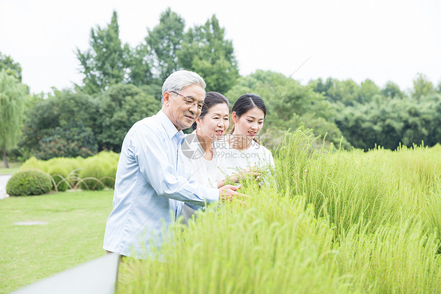 幸福一家人欣赏绿植图片