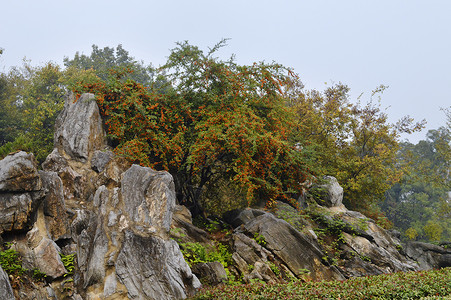 琅琊山风景区安徽名山高清图片素材