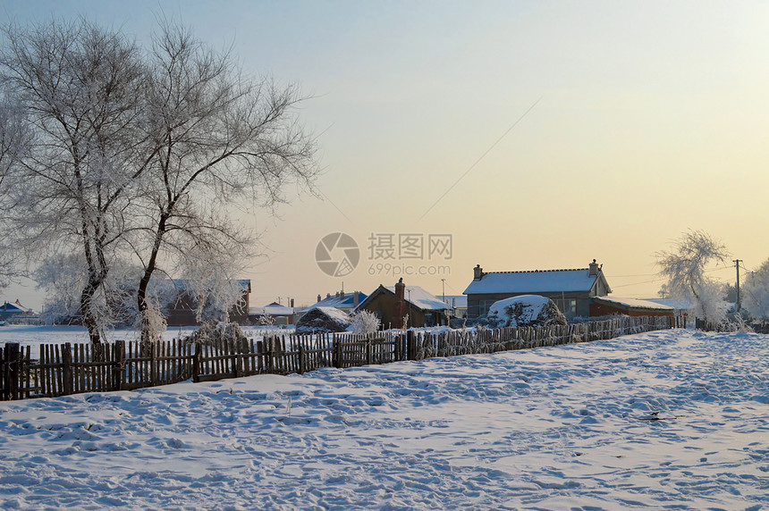 雾凇岛风景图片