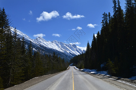 加拿大班夫国家公园雪景高清图片