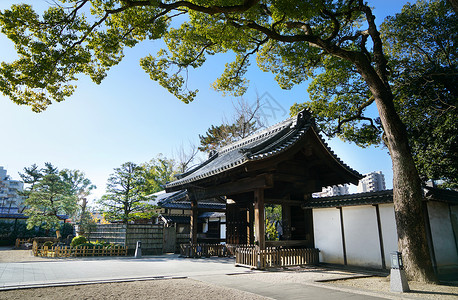 日本名古屋传统寺庙高清图片