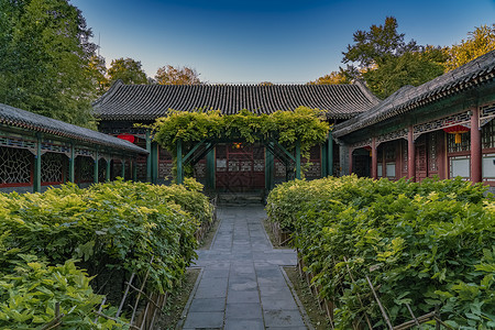 北京壹号院北京恭王府牡丹院.红灯笼背景