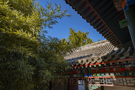 竹建筑秋天的北京胡同背景