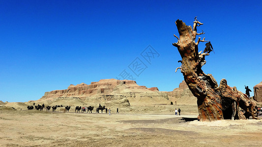 新疆景色大美新疆乌禾尔魔鬼城背景