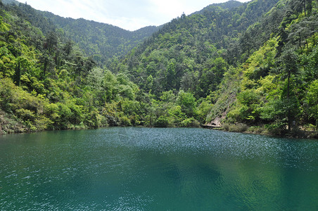 森岭公园桐庐大奇山国家森林公园背景