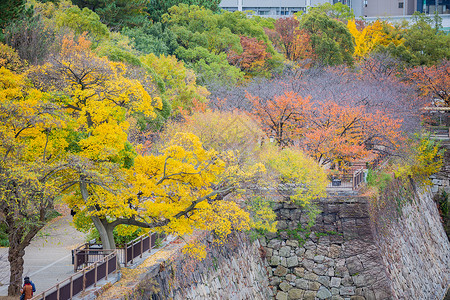 一座城一个人日本大阪城秋景背景