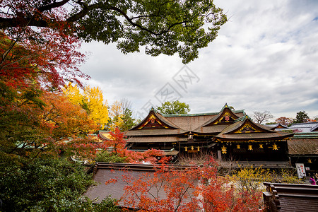 京都秋景日本京都天龙寺风景背景