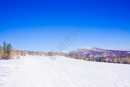 黑龙江雪乡洋草山图片