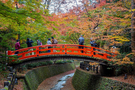 京都秋景日本京都天龙寺风景背景