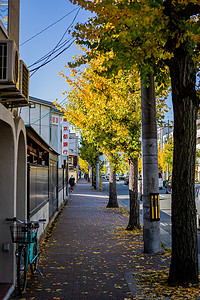 街道秋景日本岚山秋景街道背景