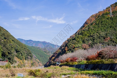 日本嵯峨野秋景高清图片