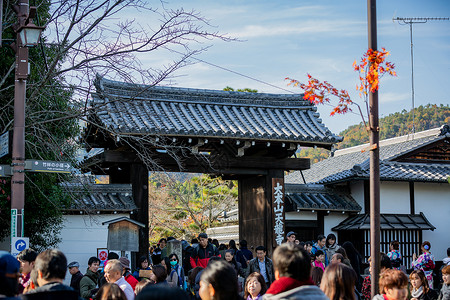 日本赏秋季图片