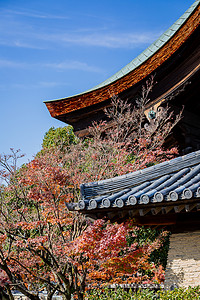 日本京都天龙寺风景日本风景高清图片素材