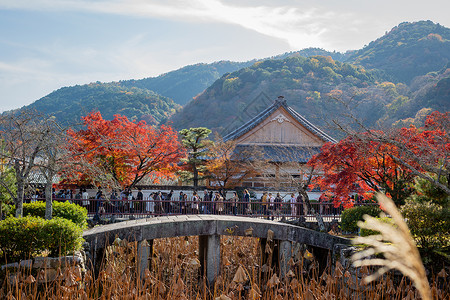 日本京都天龙寺秋景色彩高清图片素材