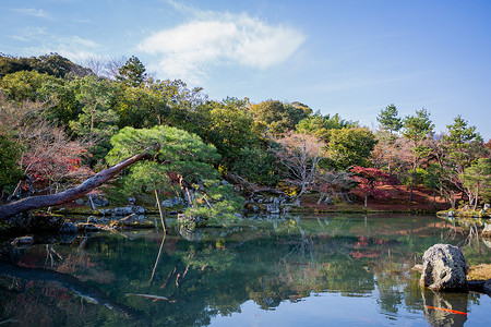 日本京都天龙寺秋景日本风情高清图片素材