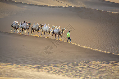 沙漠驼队背景图片