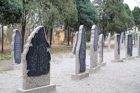 安阳殷墟安阳甲骨文碑林背景